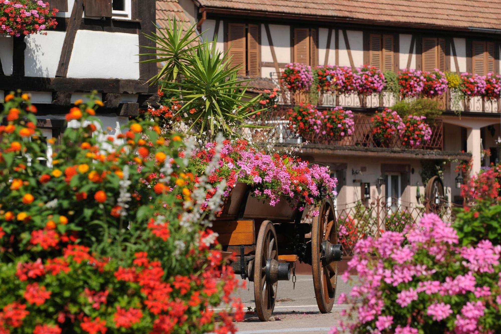 Gite Jeanne Familial - Calme - Parking Ebersheim Eksteriør billede